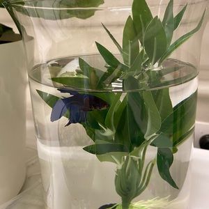 Meet your Posher, Cecilia